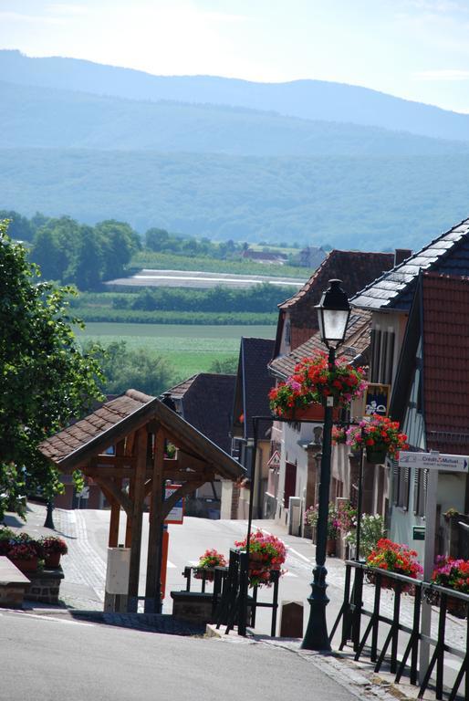 La Maison De Georges - Les Coquelicots Scharrachbergheim-Irmstett Kamer foto